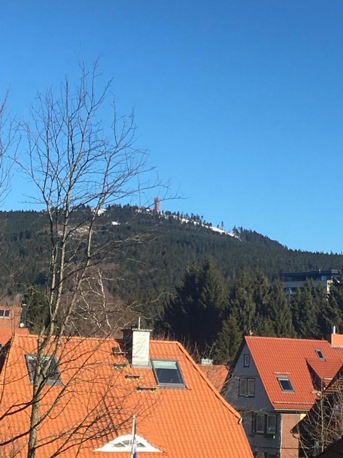 Luxurioese 3-Zi. Ferienwohnung Jagdromantik 200 M Bis Zur Wurmbergsseilbahn Braunlage Ngoại thất bức ảnh